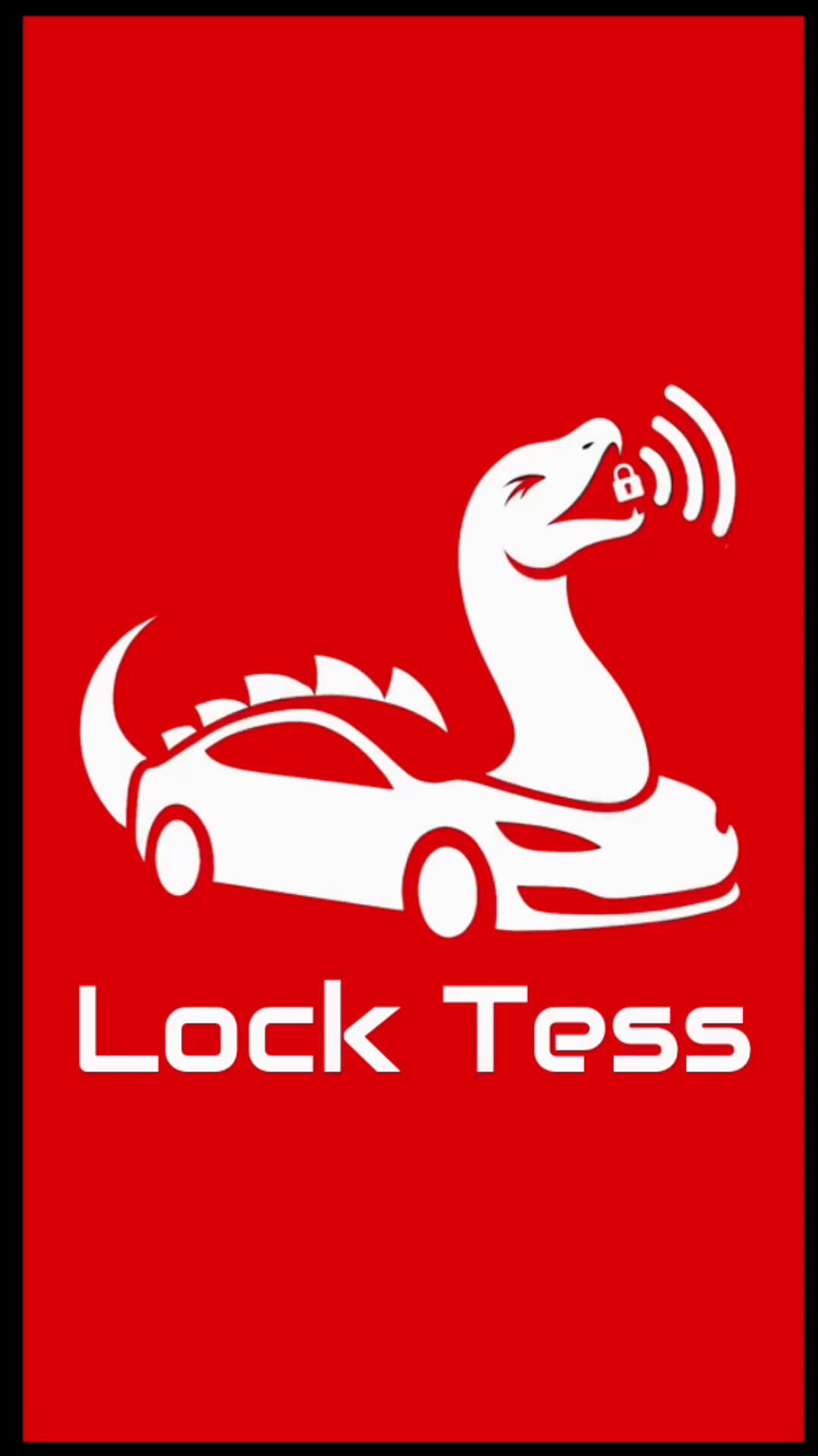 How To Use Lock Tess